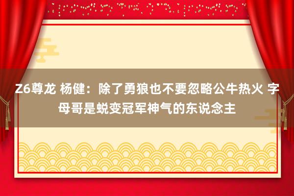 Z6尊龙 杨健：除了勇狼也不要忽略公牛热火 字母哥是蜕变冠军神气的东说念主