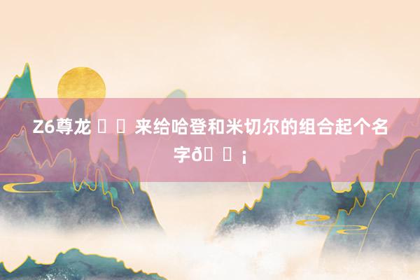 Z6尊龙 ✍️来给哈登和米切尔的组合起个名字💡