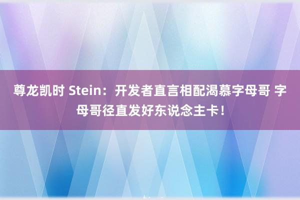 尊龙凯时 Stein：开发者直言相配渴慕字母哥 字母哥径直发好东说念主卡！