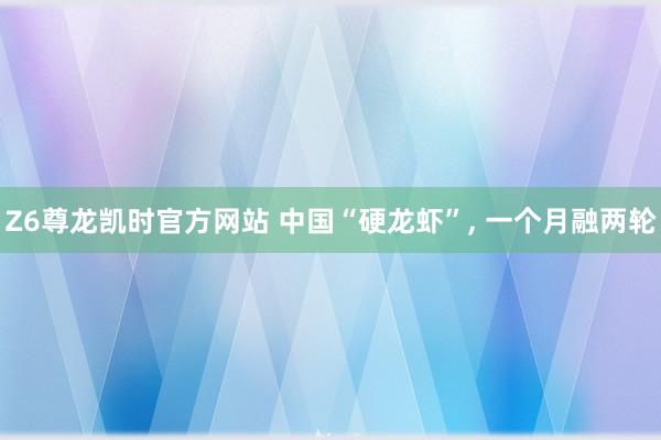 Z6尊龙凯时官方网站 中国“硬龙虾”， 一个月融两轮