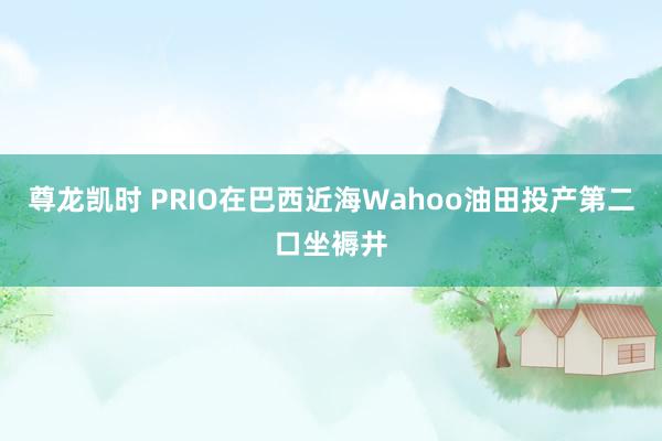 尊龙凯时 PRIO在巴西近海Wahoo油田投产第二口坐褥井