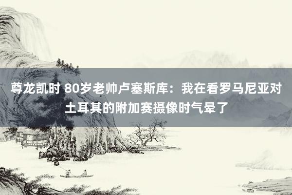尊龙凯时 80岁老帅卢塞斯库：我在看罗马尼亚对土耳其的附加赛摄像时气晕了