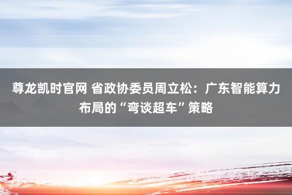 尊龙凯时官网 省政协委员周立松：广东智能算力布局的“弯谈超车”策略