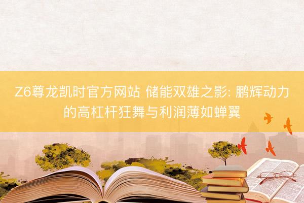 Z6尊龙凯时官方网站 储能双雄之影: 鹏辉动力的高杠杆狂舞与利润薄如蝉翼