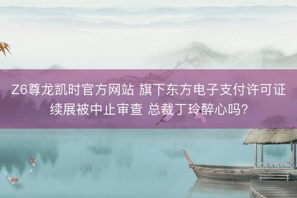 Z6尊龙凯时官方网站 旗下东方电子支付许可证续展被中止审查 总裁丁玲醉心吗?