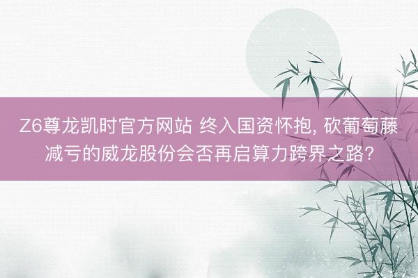 Z6尊龙凯时官方网站 终入国资怀抱， 砍葡萄藤减亏的威龙股份会否再启算力跨界之路?
