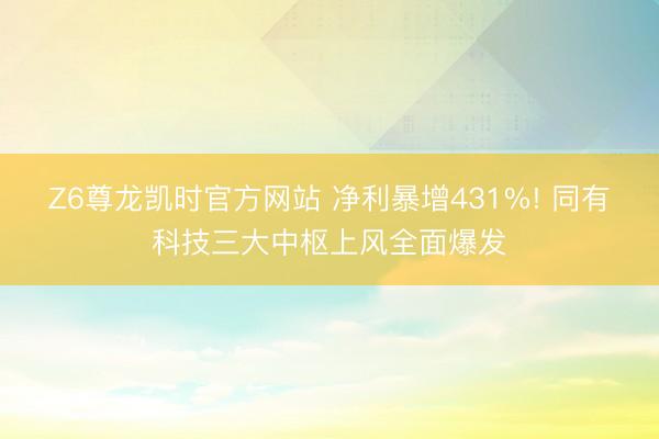 Z6尊龙凯时官方网站 净利暴增431%! 同有科技三大中枢上风全面爆发