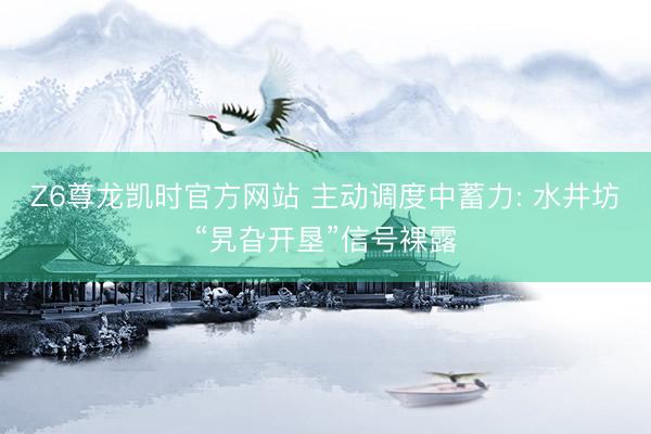 Z6尊龙凯时官方网站 主动调度中蓄力: 水井坊“旯旮开垦”信号裸露