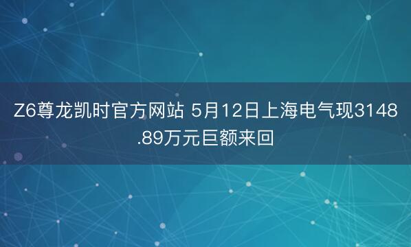 Z6尊龙凯时官方网站 5月12日上海电气现3148.89万元巨额来回