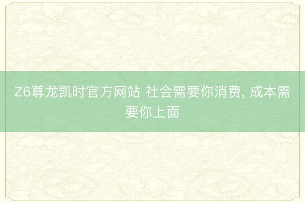 Z6尊龙凯时官方网站 社会需要你消费, 成本需要你上面