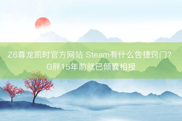 Z6尊龙凯时官方网站 Steam有什么告捷窍门? G胖15年前就已倾囊相授