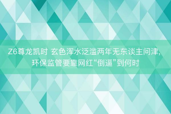 Z6尊龙凯时 玄色浑水泛滥两年无东谈主问津， 环保监管要靠网红“倒逼”到何时