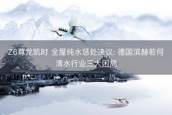 Z6尊龙凯时 全屋纯水惩处决议: 德国滨赫若何清水行业三大困局