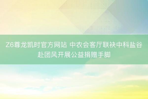 Z6尊龙凯时官方网站 中农会客厅联袂中科盐谷赴团风开展公益捐赠手脚