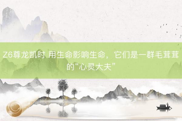 Z6尊龙凯时 用生命影响生命，它们是一群毛茸茸的“心灵大夫”
