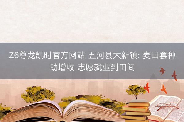 Z6尊龙凯时官方网站 五河县大新镇: 麦田套种助增收 志愿就业到田间