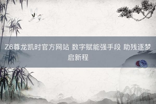 Z6尊龙凯时官方网站 数字赋能强手段 助残逐梦启新程