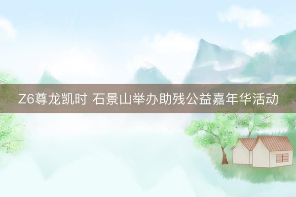 Z6尊龙凯时 石景山举办助残公益嘉年华活动