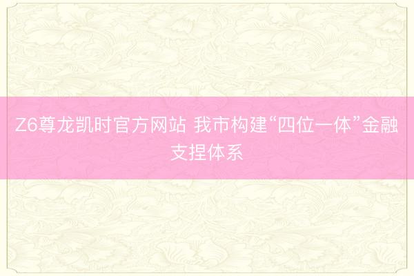 Z6尊龙凯时官方网站 我市构建“四位一体”金融支捏体系