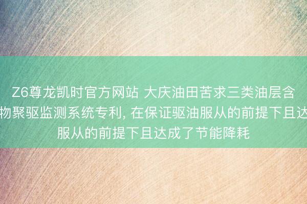 Z6尊龙凯时官方网站 大庆油田苦求三类油层含水回升期团聚物聚驱监测系统专利， 在保证驱油服从的前提下且达成了节能降耗