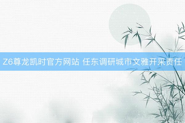 Z6尊龙凯时官方网站 任东调研城市文雅开采责任