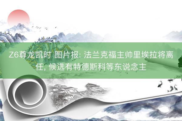 Z6尊龙凯时 图片报: 法兰克福主帅里埃拉将离任, 候选有特德斯科等东说念主