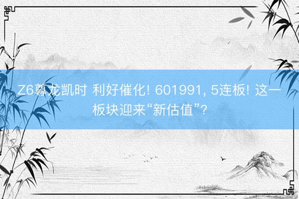 Z6尊龙凯时 利好催化! 601991, 5连板! 这一板块迎来“新估值”?