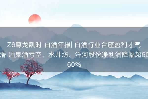 Z6尊龙凯时 白酒年报| 白酒行业合座盈利才气下滑 酒鬼酒亏空、水井坊、洋河股份净利润降幅超60%