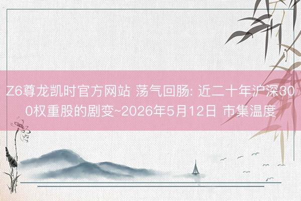 Z6尊龙凯时官方网站 荡气回肠: 近二十年沪深300权重股的剧变~2026年5月12日 市集温度