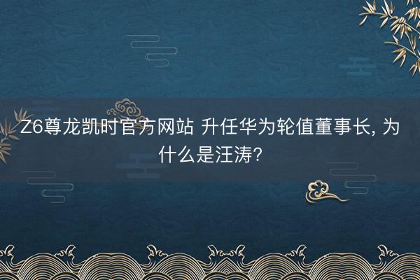 Z6尊龙凯时官方网站 升任华为轮值董事长， 为什么是汪涛?