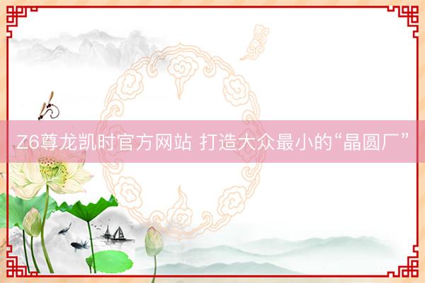 Z6尊龙凯时官方网站 打造大众最小的“晶圆厂”
