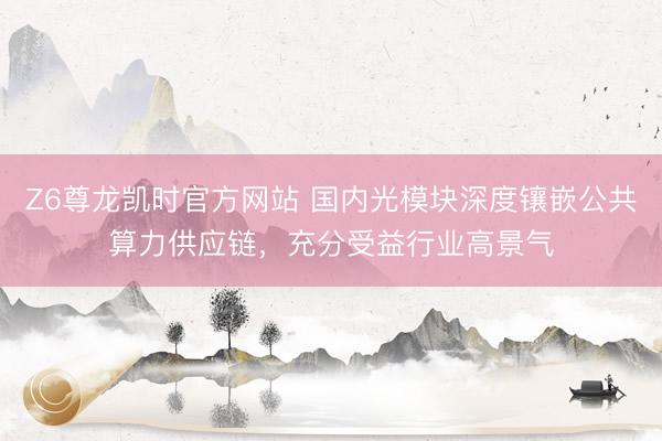 Z6尊龙凯时官方网站 国内光模块深度镶嵌公共算力供应链，充分受益行业高景气