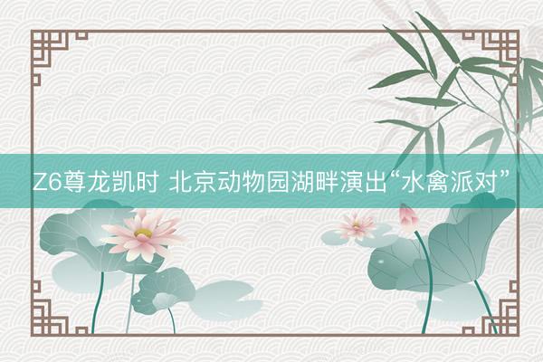 Z6尊龙凯时 北京动物园湖畔演出“水禽派对”