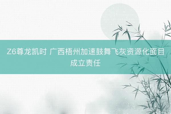Z6尊龙凯时 广西梧州加速鼓舞飞灰资源化面目成立责任