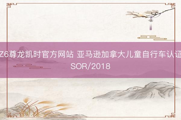 Z6尊龙凯时官方网站 亚马逊加拿大儿童自行车认证SOR/2018