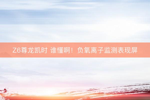 Z6尊龙凯时 谁懂啊！负氧离子监测表现屏