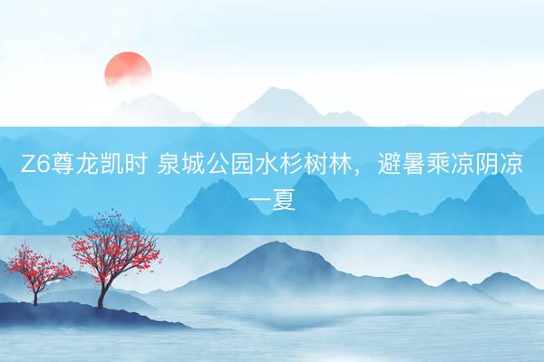 Z6尊龙凯时 泉城公园水杉树林，避暑乘凉阴凉一夏