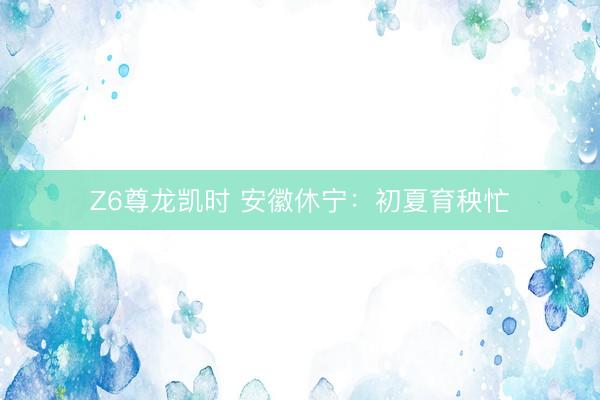 Z6尊龙凯时 安徽休宁：初夏育秧忙