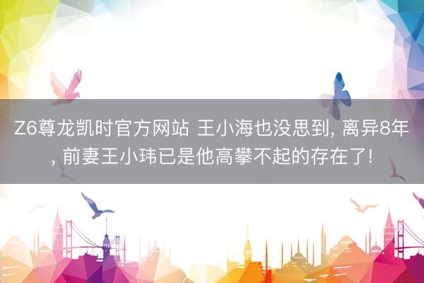 Z6尊龙凯时官方网站 王小海也没思到， 离异8年， 前妻王小玮已是他高攀不起的存在了!